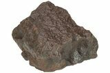 Chondrite Meteorite ( g) - Western Sahara Desert #222387-1